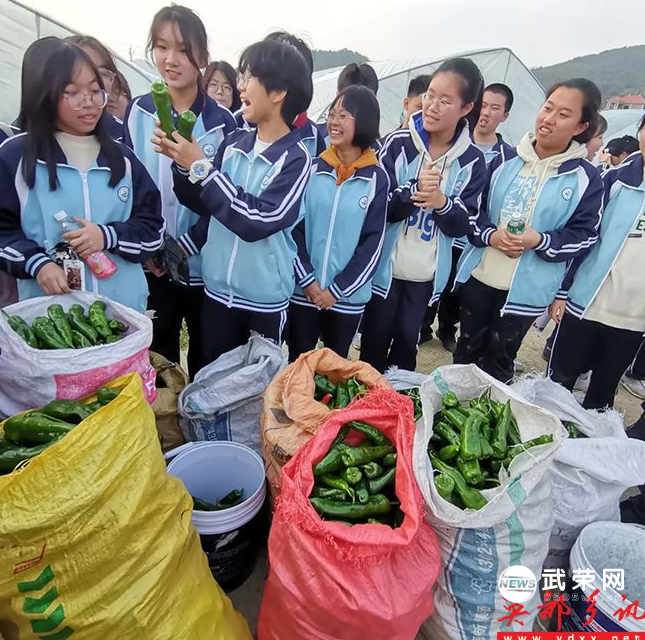 1645534170203701.png image.png