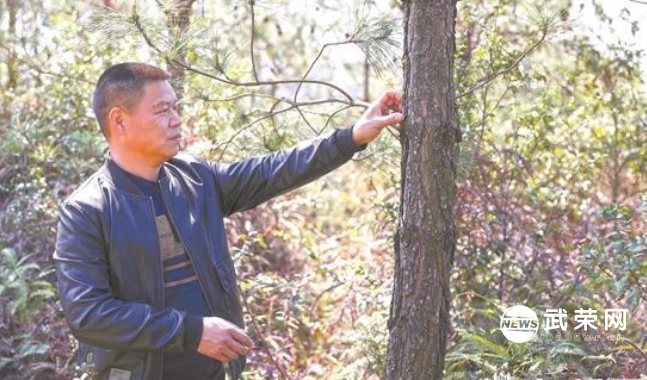 1646833738145962.png image.png