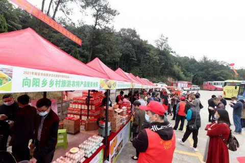 南安向阳乡举办首届文化旅游节